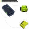 Ryobi Battery